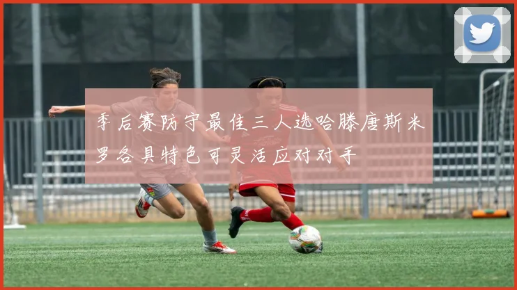 季后赛防守最佳三人选哈滕唐斯米罗各具特色可灵活应对对手