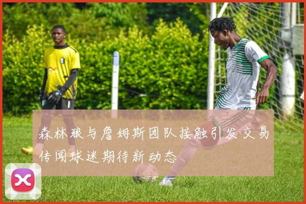 森林狼与詹姆斯团队接触引发交易传闻球迷期待新动态